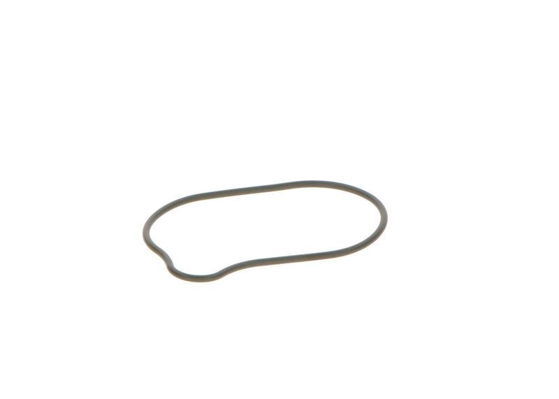 BOSCH 2440210028 Rubber Ring