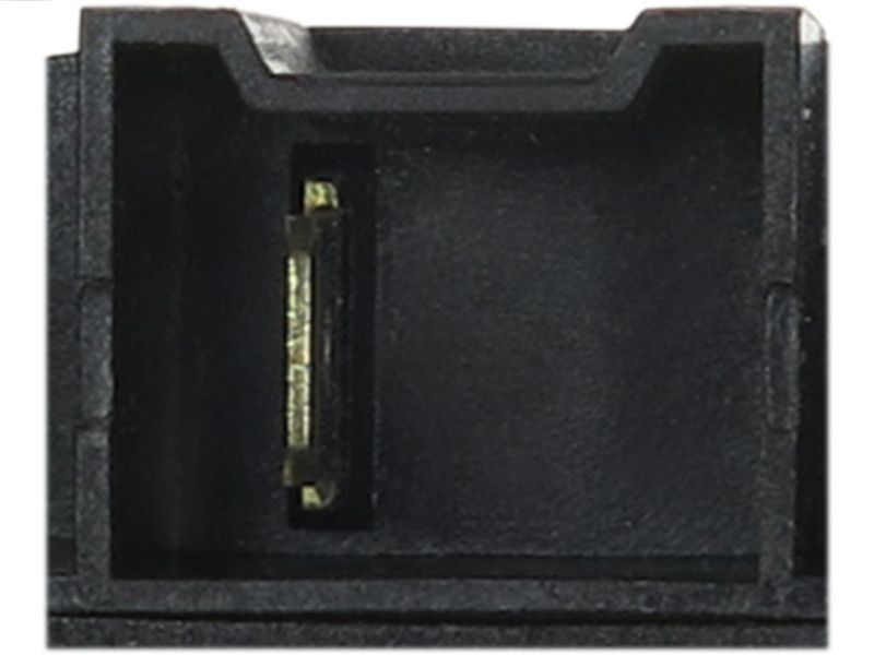 195896.JPG