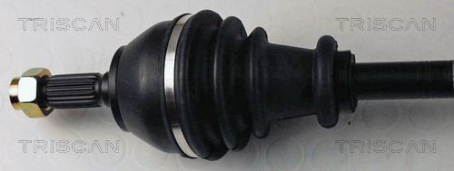 854038534_2.JPG