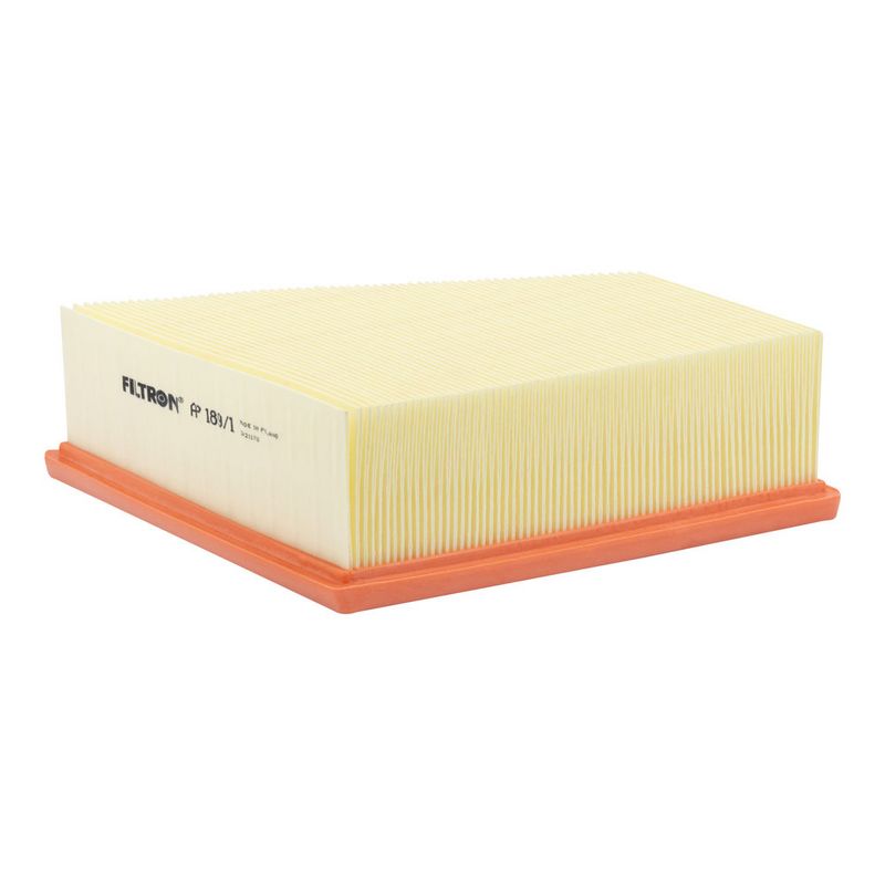 Õhufilter, FILTRON AP 189, 1