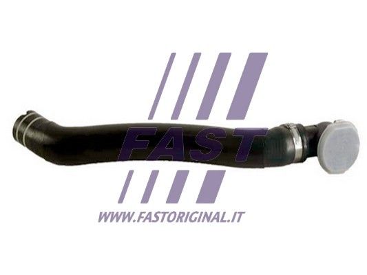 FT61338_1_1.JPG