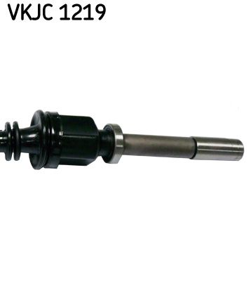 VKJC 1219_3.JPG