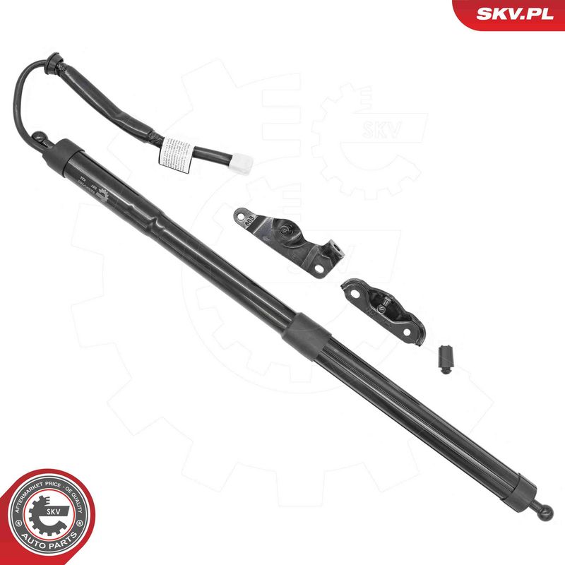 ESEN SKV 52SKV262 Electric Motor, tailgate