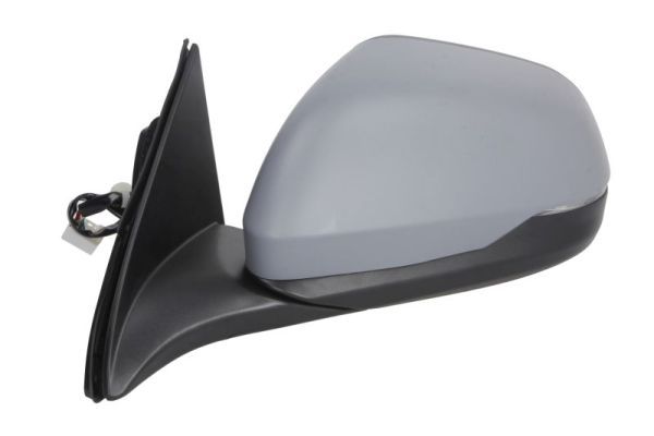 BLIC 5402-12-0493361P Exterior Mirror