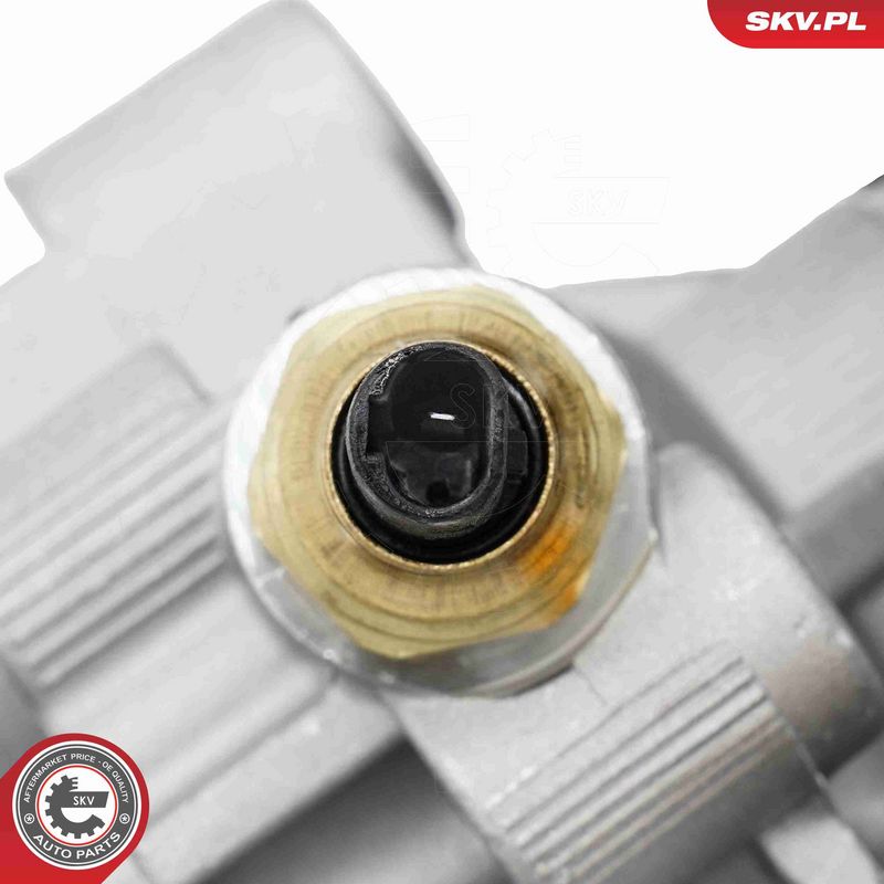 ESEN SKV 10SKV506 Hydraulic Pump, steering