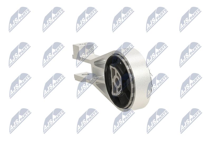 Paigutus, Mootor, NTY ZPS-PL-064