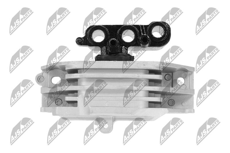 Paigutus, Mootor, NTY ZPS-CH-103