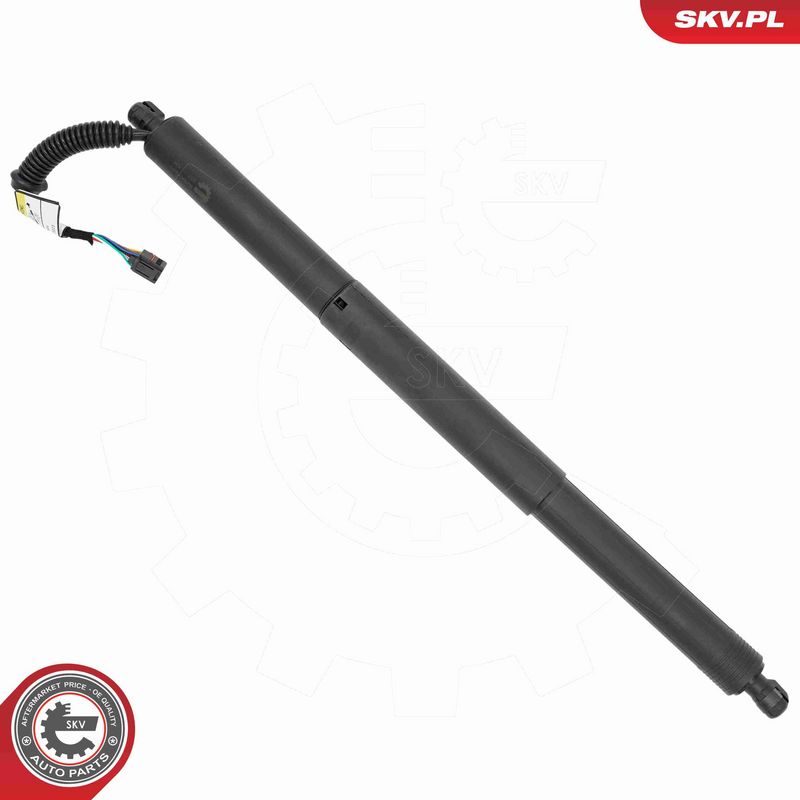 ESEN SKV 52SKV205 Electric Motor, tailgate