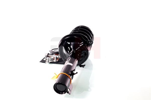 Vedruamort, GH GH-354710C12