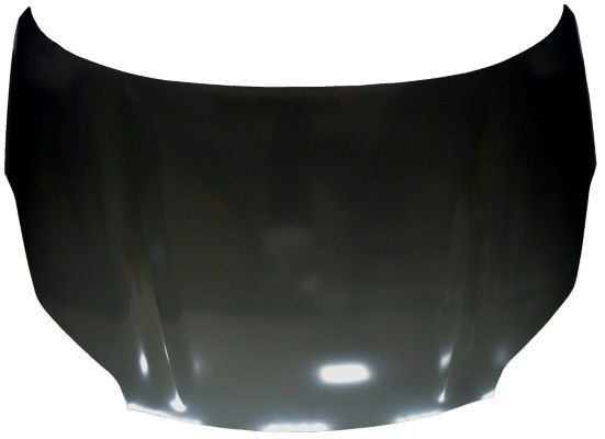 Capota motor MTR 12178585