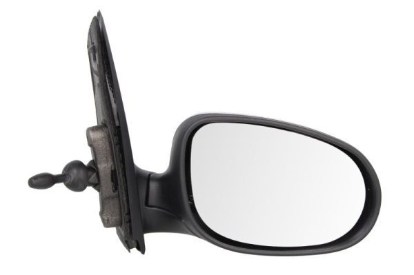 BLIC 5402-03-2001206P Exterior Mirror