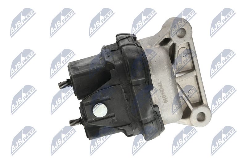 Paigutus, Mootor, NTY ZPS-CH-019