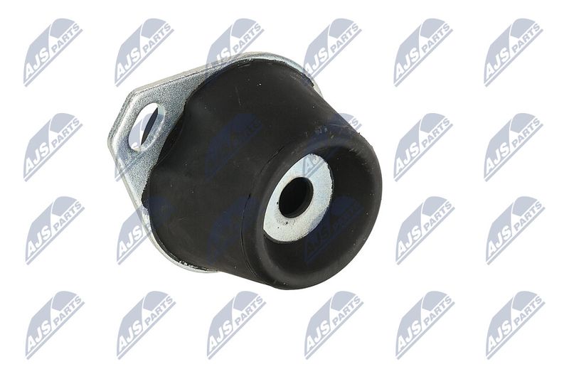 Paigutus, Mootor, NTY ZPS-PE-005