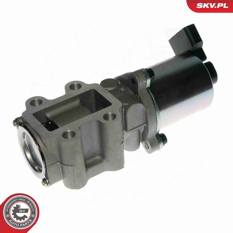 ESEN SKV 14SKV088 EGR Valve