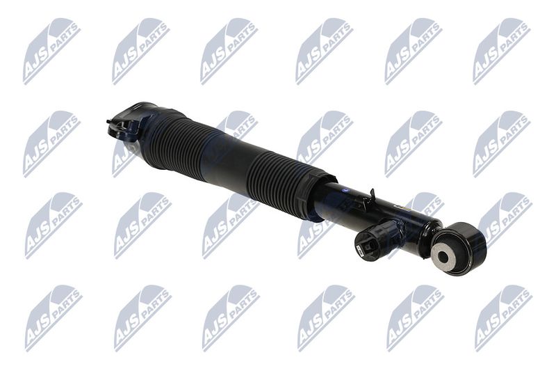 Amort, NTY A-LR-036
