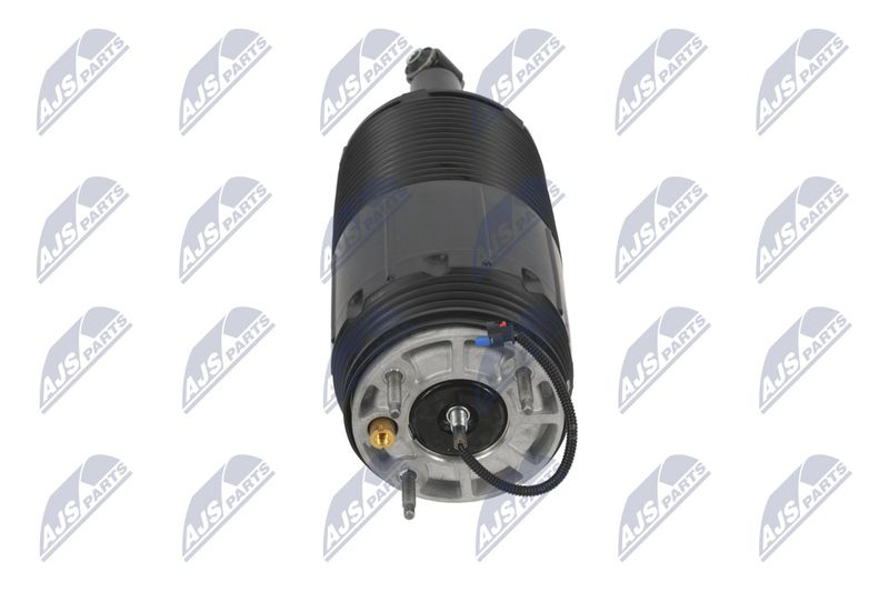 Amort, NTY A-CH-099