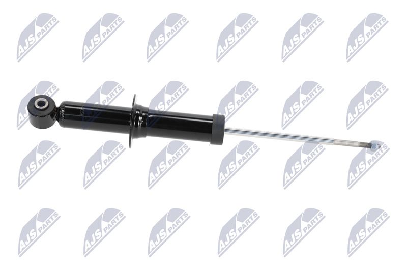 Amort, NTY A-CH-058
