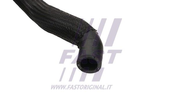 FT61883_3_1.JPG