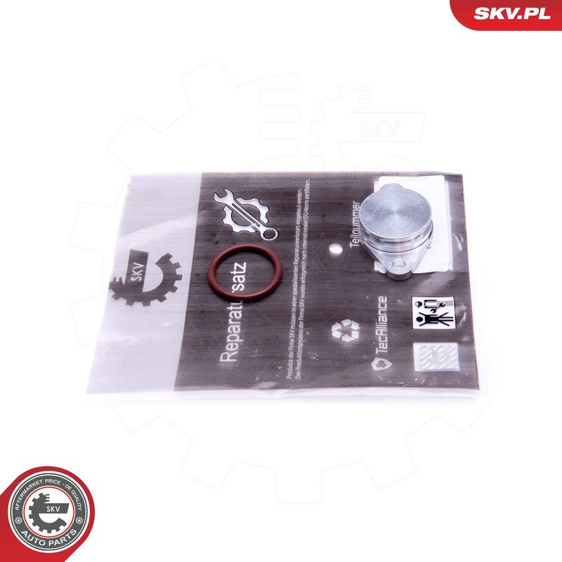 Remondikomplekt, imitoru moodul, ESEN SKV 49SKV572