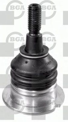 SJ4205.JPG