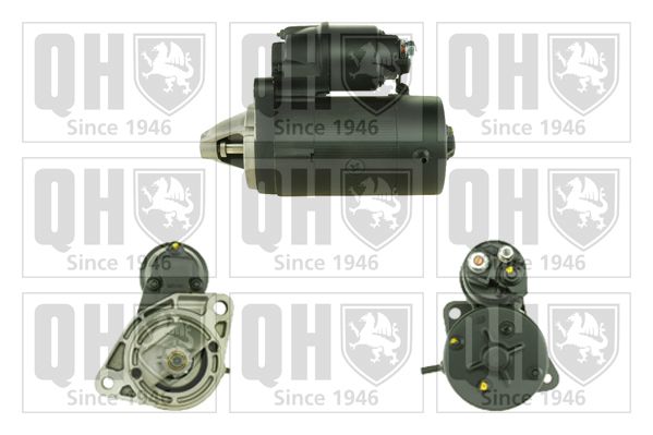 QH_QRS2041_GRUPPE.JPG