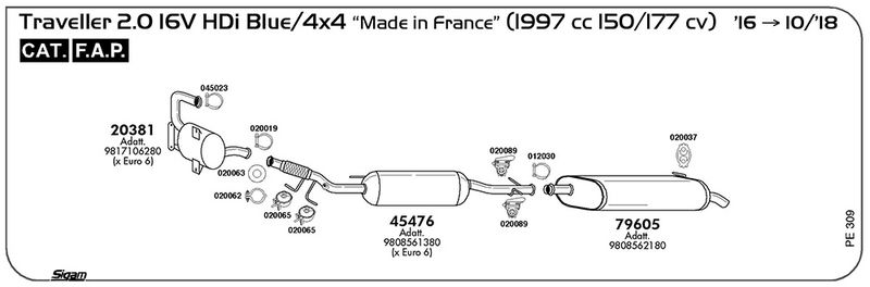 pe309_1.JPG