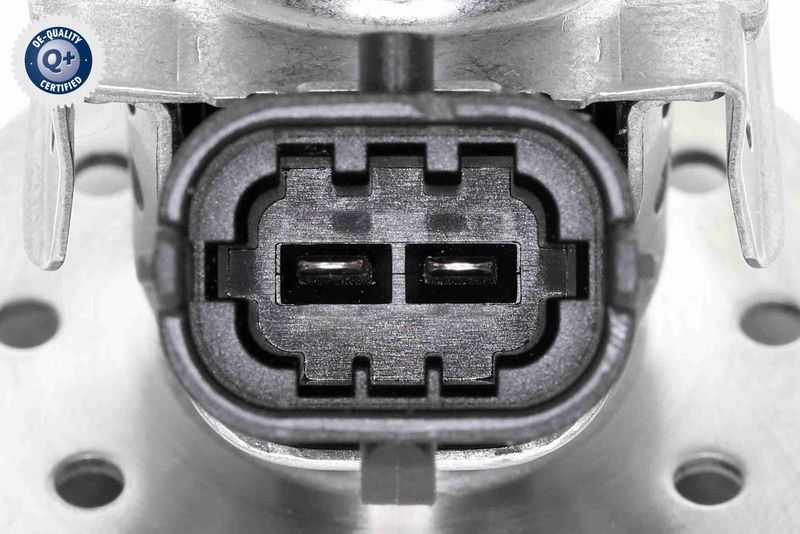 V24-68-0002_03.JPG