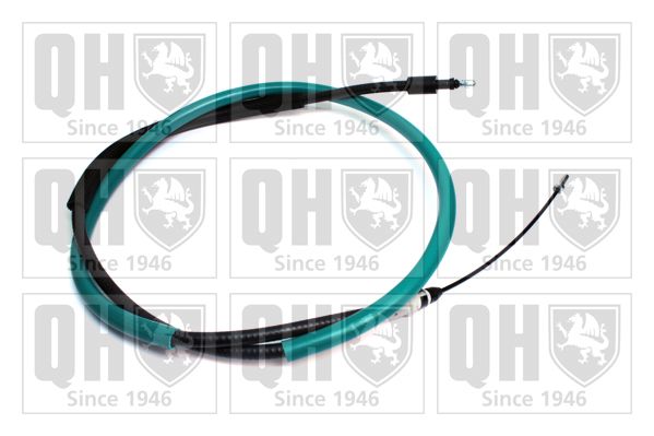 QH_BC3962.JPG