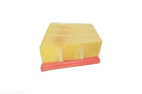 AUTOMEGA 250050510 Air Filter