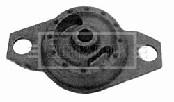 BEM3456_210312.JPG