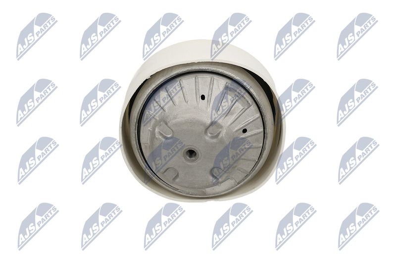 Paigutus, Mootor, NTY ZPS-ME-109