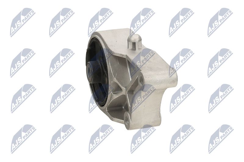 Paigutus, Mootor, NTY ZPS-PL-074