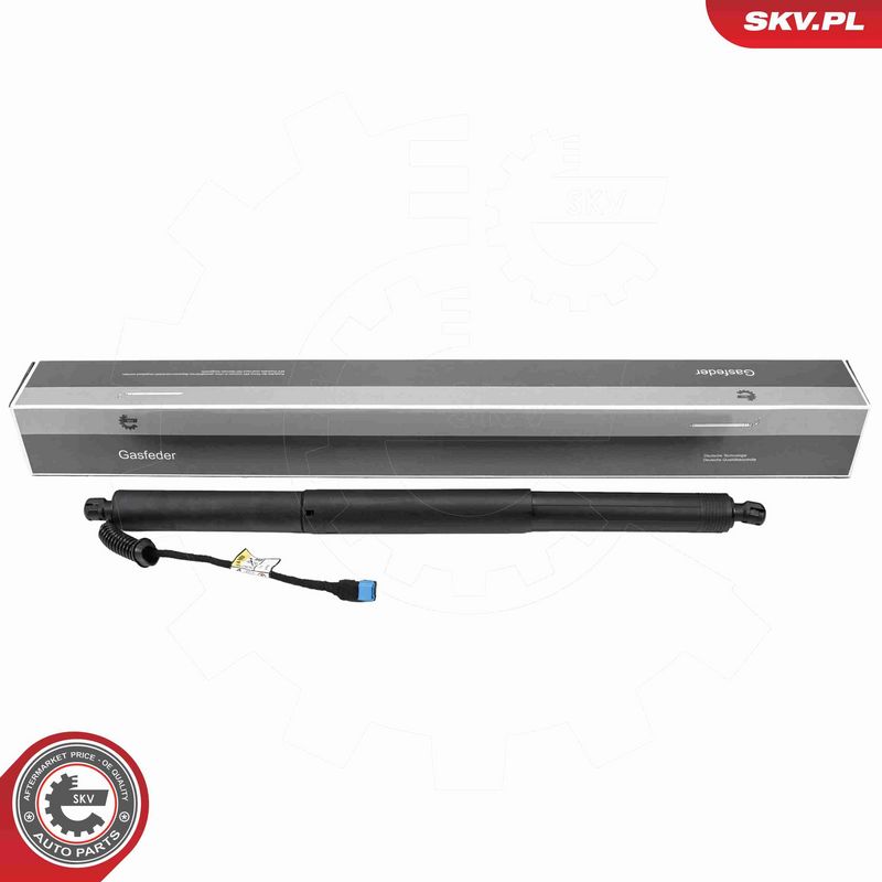ESEN SKV 52SKV186 - Electric Motor, tailgate