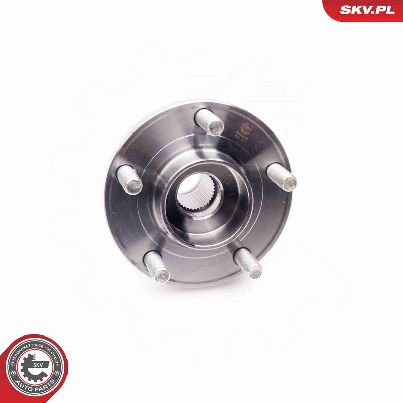 ESEN SKV 29SKV128 Wheel Bearing Kit