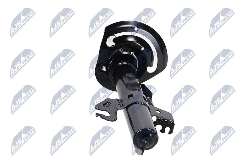Amort, NTY A-CH-084
