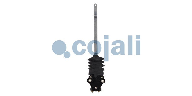 Supapa perna aer COJALI 2214518