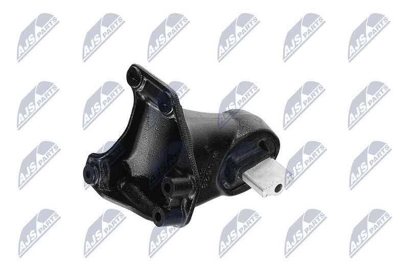 Paigutus, Mootor, NTY ZPS-CH-173