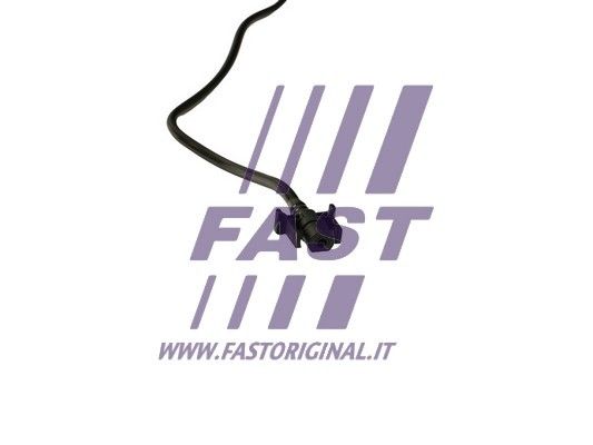 FT61019_2_1.JPG