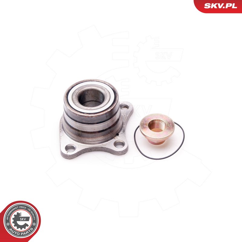 Rattalaagrikomplekt, ESEN...