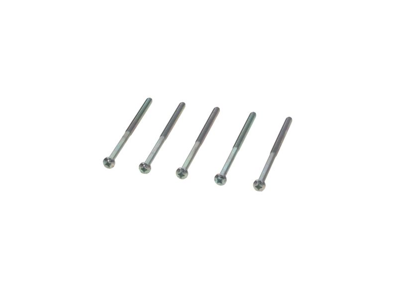 Surub 1 123 429 125 BOSCH