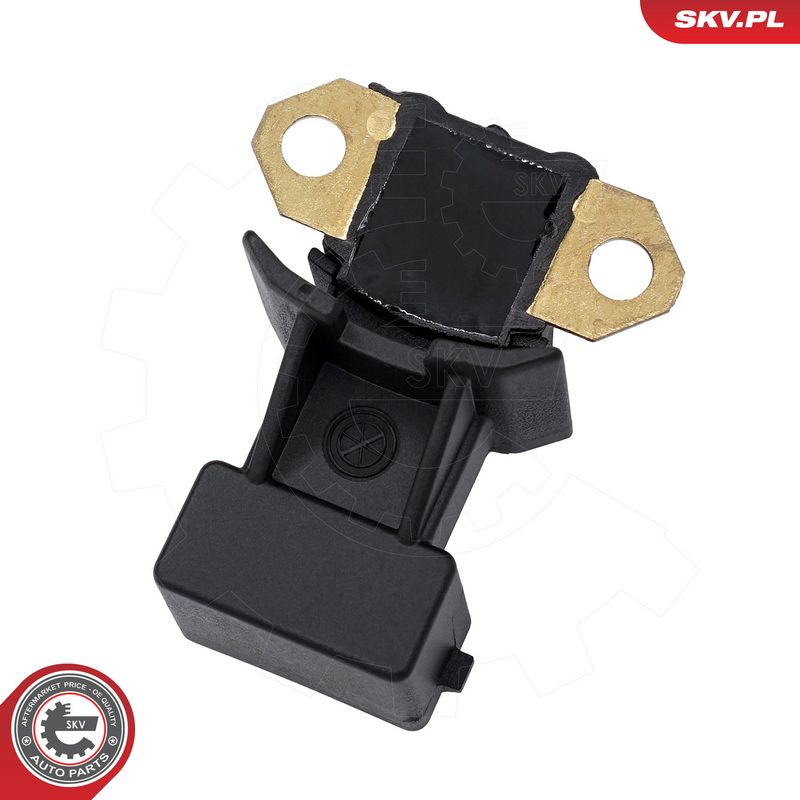 Andur, süüteimpulss, ESEN SKV 95SKV293
