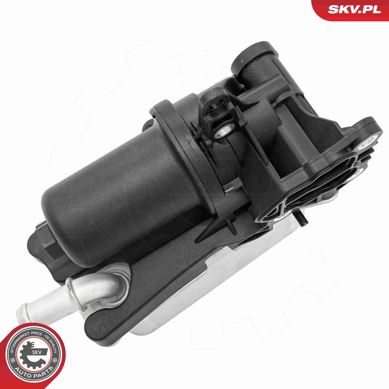 ESEN SKV 31SKV439 Oil Cooler, engine oil