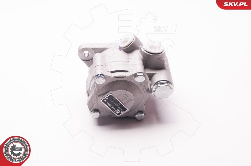 ESEN SKV 1SKV0010 Hydraulic Pump, steering