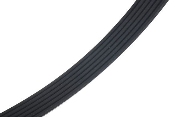 STELLOX 09-41655-SX V-ribbed Belt