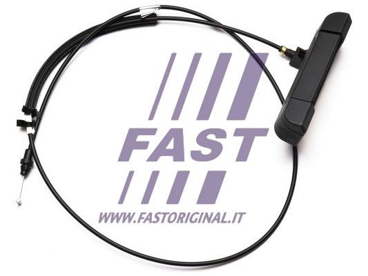 FT94560_1_1.JPG