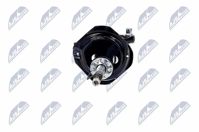 Amort, NTY A-NS-016