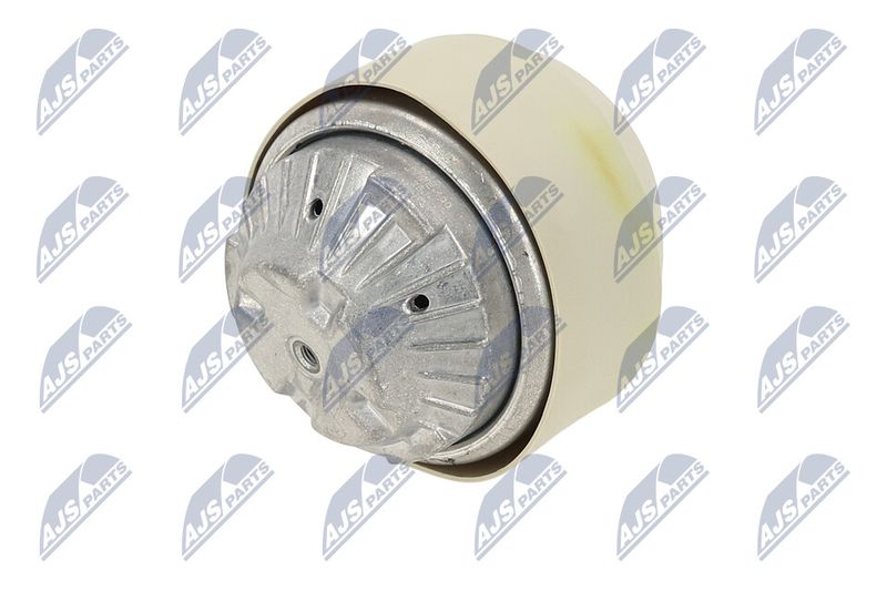 Paigutus, Mootor, NTY ZPS-ME-100