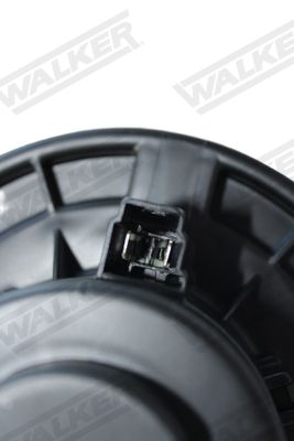 wbl01181_5350134.JPG