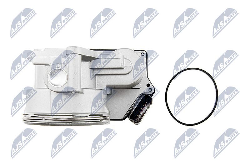etb-vw-018_4-wm.JPG