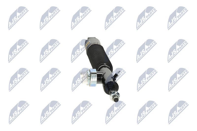 Amort, NTY A-NS-056